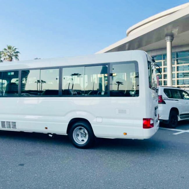 Discover the Best UAE Sightseeing Tours for an Unforgettable Experience