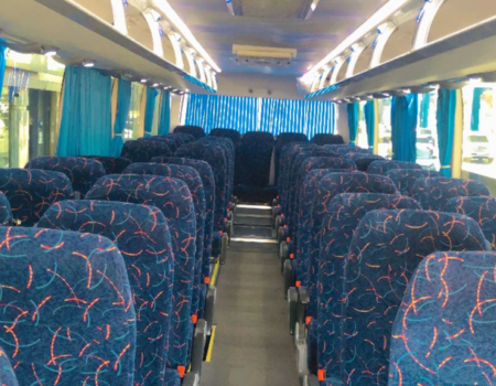Go Bus Tourism & transport